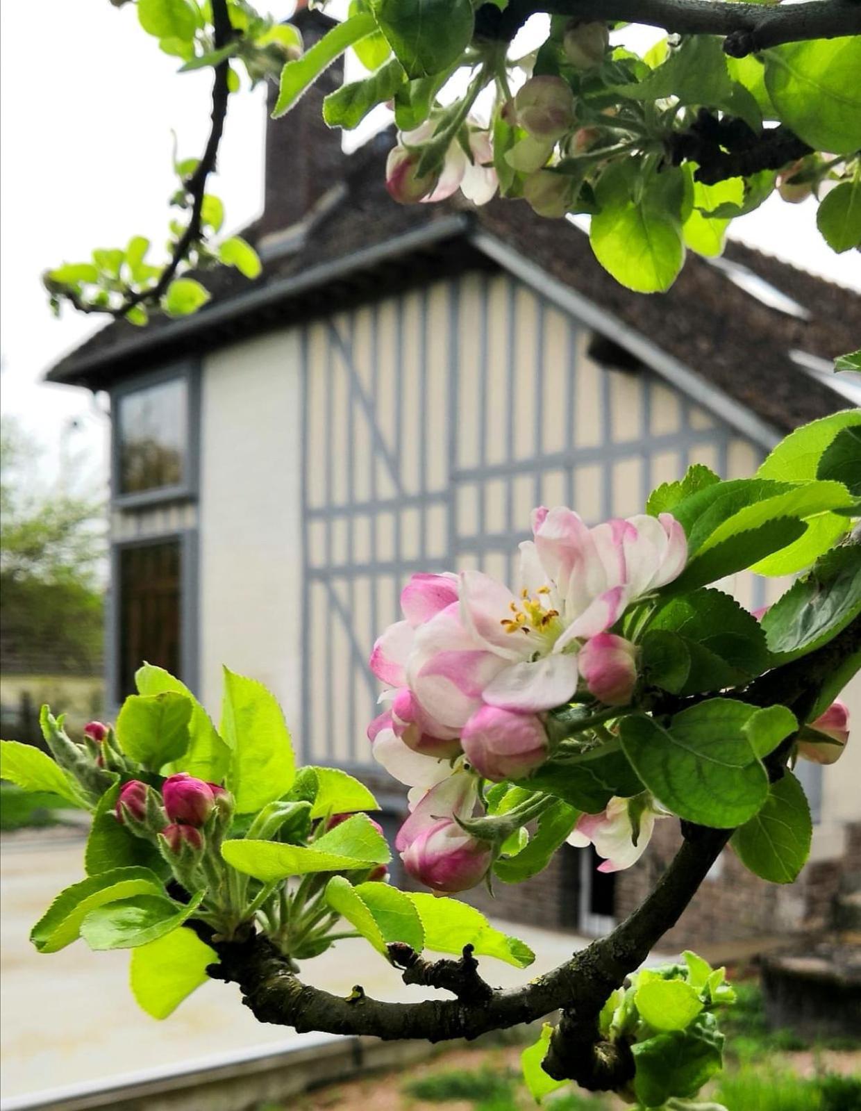 Bed and Breakfast Sous Les Toits Dosches Zewnętrze zdjęcie